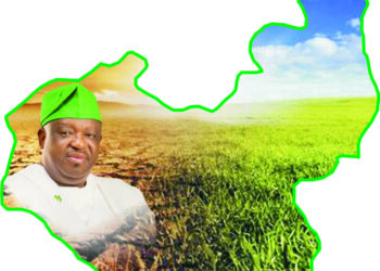 Mutfwang’s vision drives environmental, climate, mining sector successes