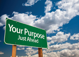 Purpose without direction