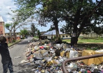 NIGERIA @ 65 caught at an environmental crossroads