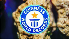 Beyond the craze: Rethinking Nigeria’s obsession with Guinness World Records