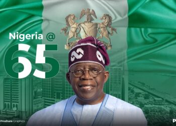 Nigeria @ 65: Strengthening the economy through foreign investment