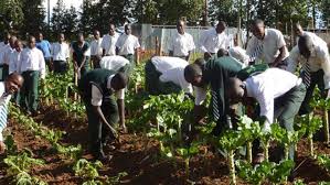 Beyond the classroom: A student’s journey to growth through farming