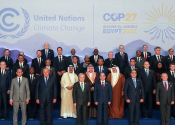 COP30: Parties advocate unified vision to support vital ecosystems