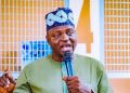 APC chair urges Nigerians to hold local, state leaders accountable