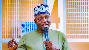 APC chair urges Nigerians to hold local, state leaders accountable