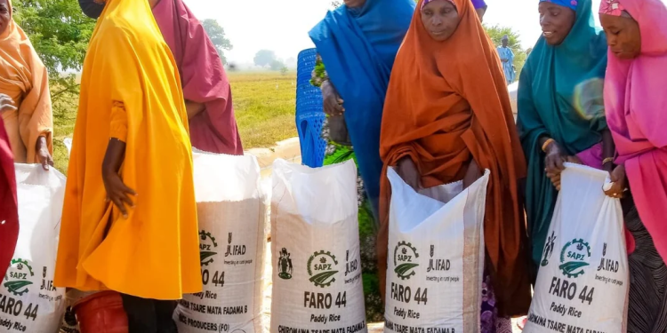 FG empowers 9,870 farmers with inputs, modern rice technologies in Kano